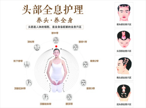 头部全息护理