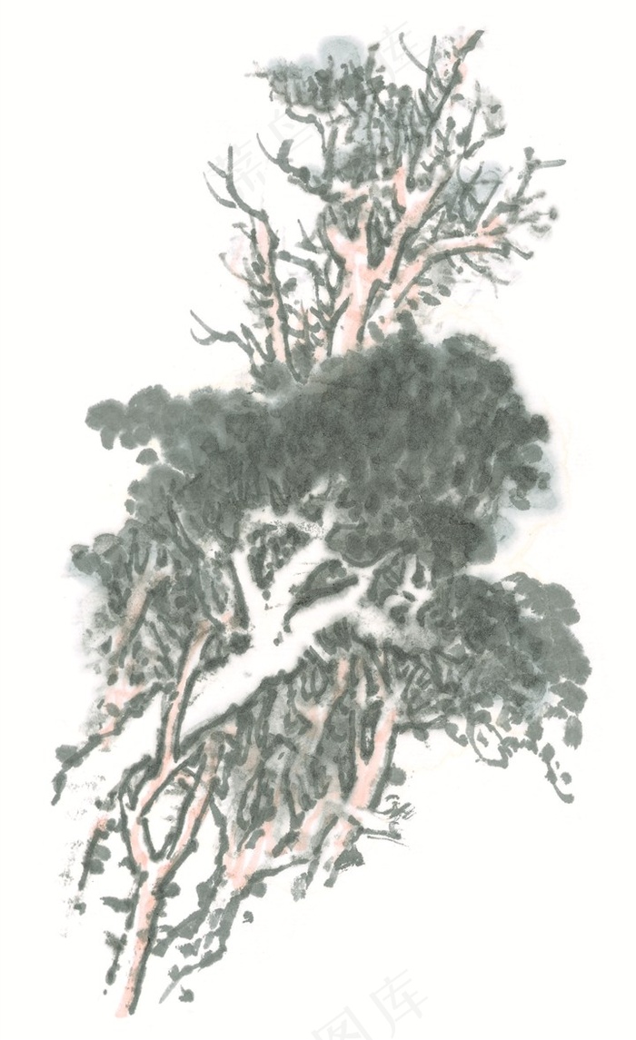 古树美图jpg素材