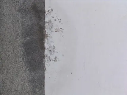 各式背景 1255 各式背景 1255