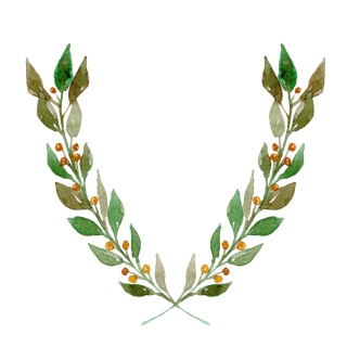 唯美森系手绘水彩花朵 免抠