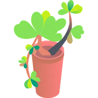 多肉盆栽简笔画