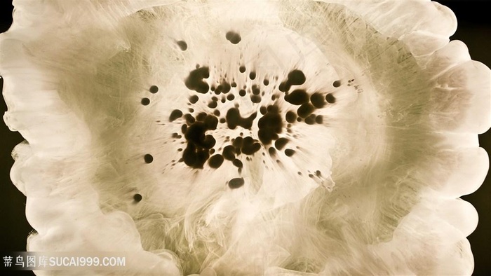 时尚花瓣元素壁纸