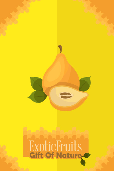 自然风景动物植物扁平矢量插画