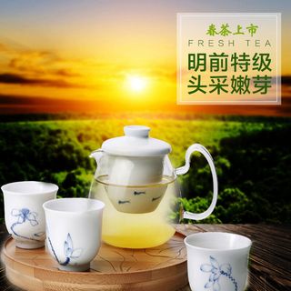 春茶上市茶叶素材