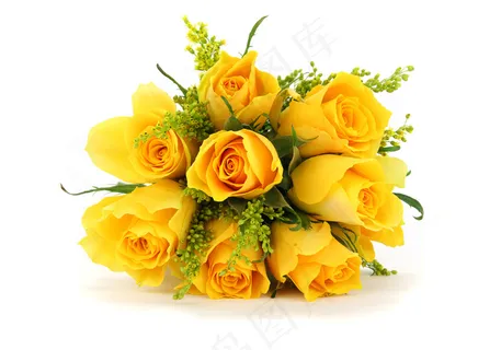 黄玫瑰花高清图片