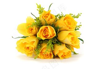 黄玫瑰花高清图片