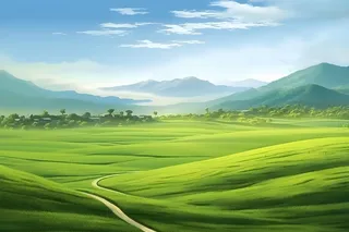 春天清新草地田园背景