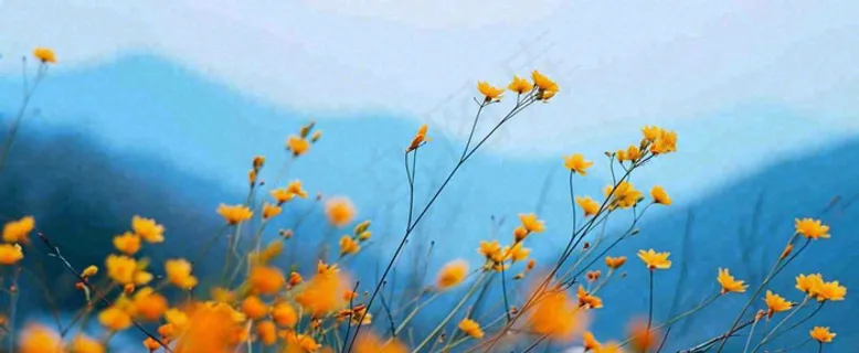 简约橙色小花鲜花，蓝色天空山脉虚幻意境摄影图