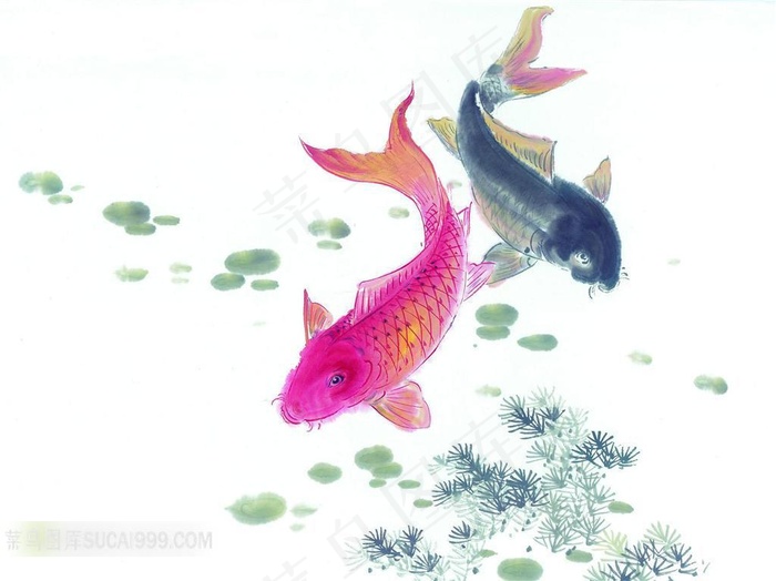 手绘精美的鱼插画图片素材