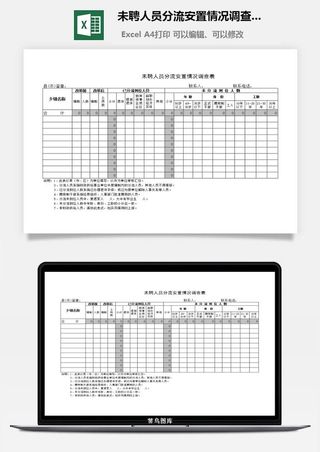 未聘人员分流安置情况调查表excel模板