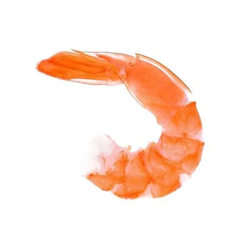 虾 PNG免抠(512x489)