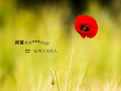 送给闺蜜的暖心的话 送给闺蜜的暖心的话