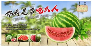 新鲜西瓜图片