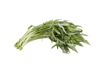 空心菜超市商品白底图免抠实物摄影png格式图片透明底