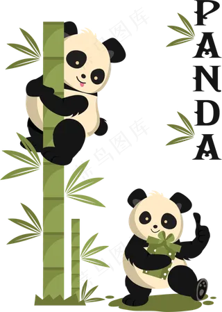 中国国宝的大熊猫