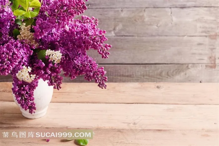 木板上盛开的紫丁香鲜花图片