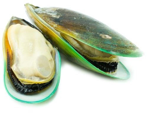 贻贝 PNG免抠(620x467)