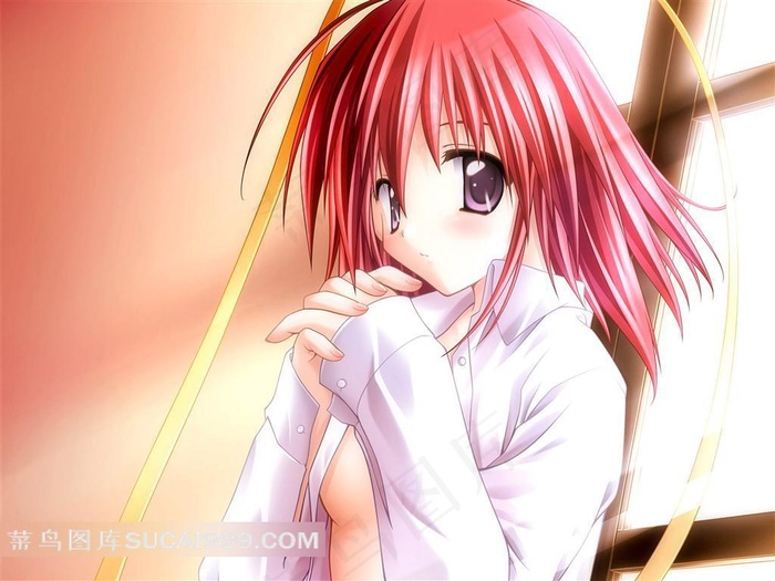 性感可爱的动漫美少女插画