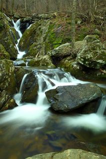 瀑布绿色植物美图素材