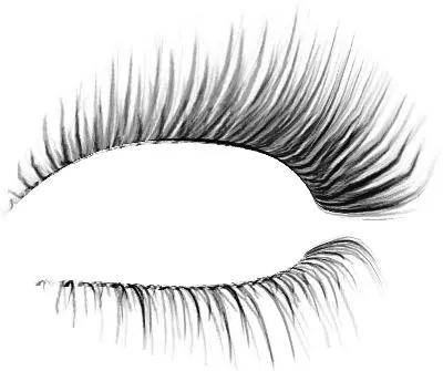 睫毛 PNG免抠(400x335)