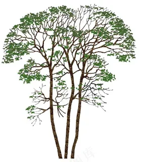 树木素材图片