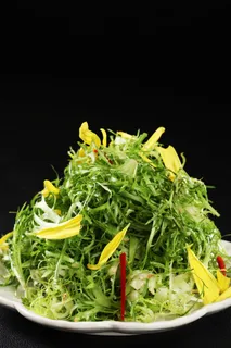 L01353爽口苦菊 (3)