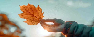 秋天手拿秋叶落日光照，温馨特写，立秋秋分摄影图