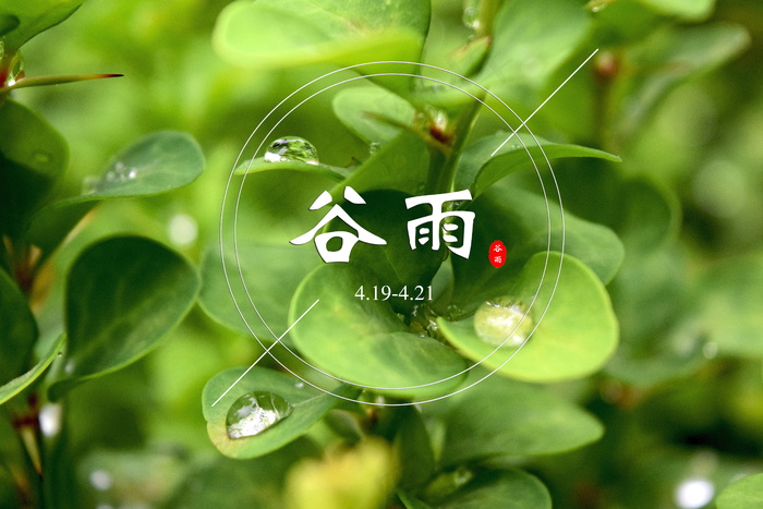 四月节气之谷雨图片