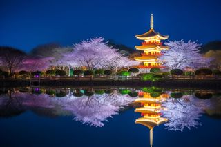 公园夜景发光的宝塔倒映在湖水里摄影图