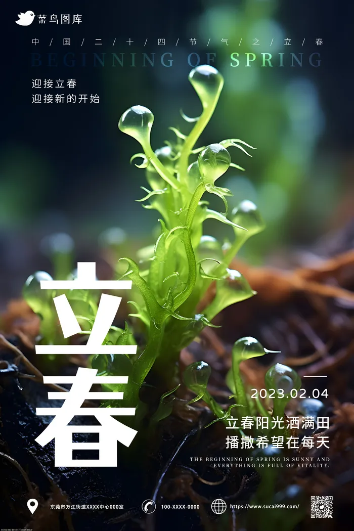 小清新风 立春节气 海报ai矢量模版下载