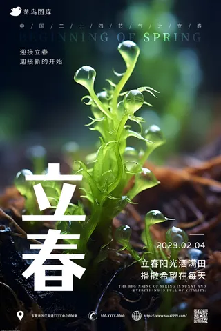 小清新风 立春节气 海报