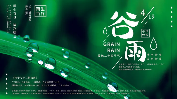 谷雨二十四节气海报设计psd模版下载