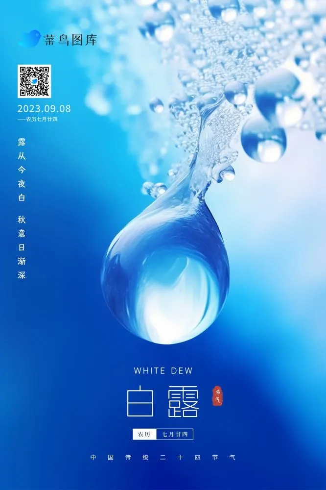 白露蓝色水滴露珠清新大气节气海报(2362x3543)psd模版下载
