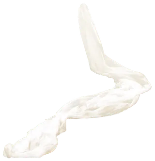 欧式优雅精致复古风格油画质感色彩手绘花卉植物树叶插画PNG素材2