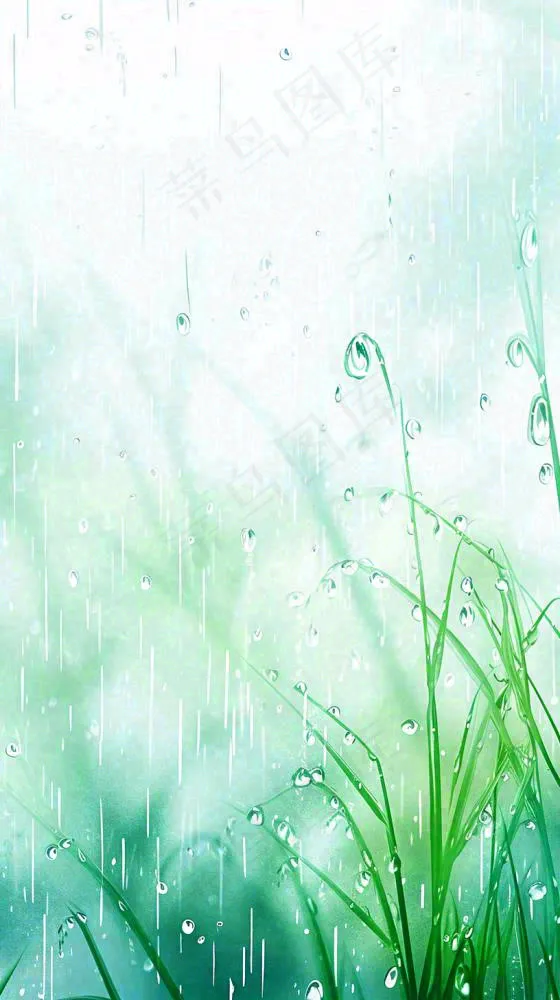春天绿草下雨水珠，雨水，立春，春分(816x1456)
