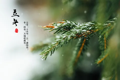今日立冬了图片 今日立冬了图片