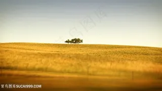 草地秋季美景壁纸