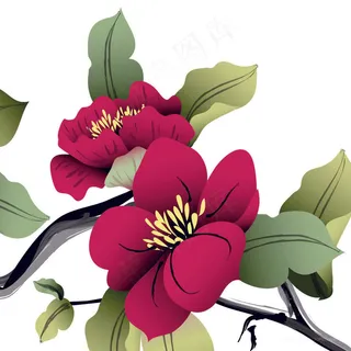 高清花卉花枝插画