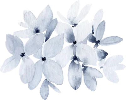 海军蓝金线水彩花卉素材