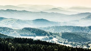 高清雪山雪景树林森林