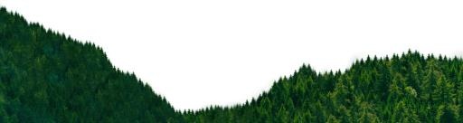 森林 PNG免抠(1920x512)