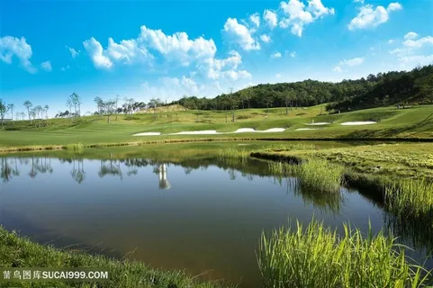 湖风景天空水森林反射河树草水生农村 湖风景天空水森林反射河树草水生农村