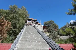 蓝天下树林间的石阶