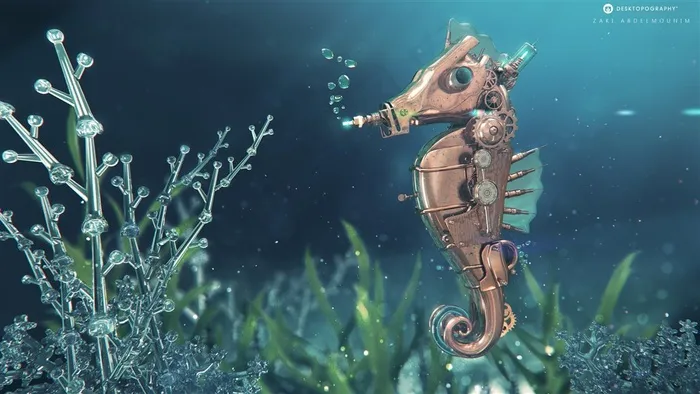 海马海洋生物水草海鲜素材水族箱动物高清