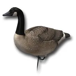 鹅 PNG免抠(256x256)