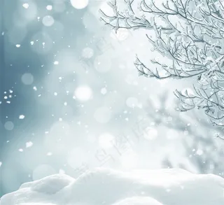 冬季雪花高清摄影图片素材