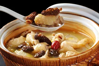 火锅麻辣烫锅底川菜火锅-羊肚菌炖土鸡