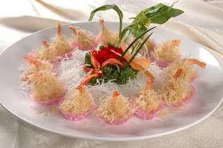 CXC03624奇妙金丝虾