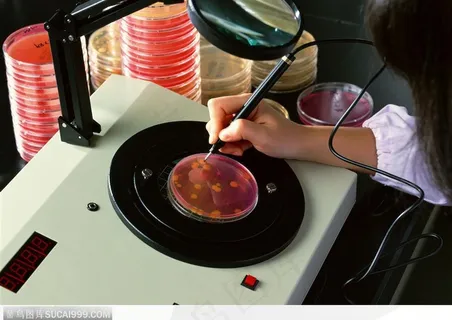 研究实验器具-查看培养皿中的生物