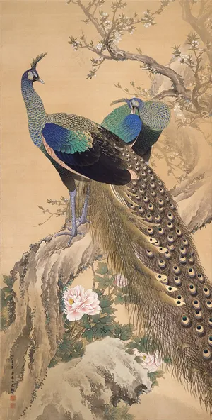 桥本关雪孔雀花鸟画作品素材 桥本关雪孔雀花鸟画作品素材